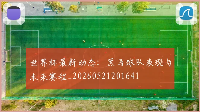 世界杯最新动态：黑马球队表现与未来赛程_20260521201641